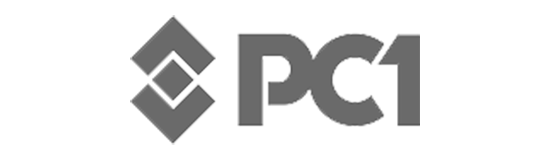 Logo PCT